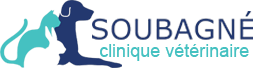 Clinique Vétérinaire Soubagné à roanne