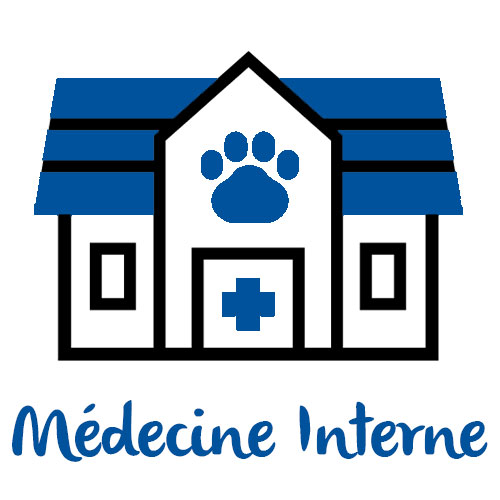 Médecine Interne