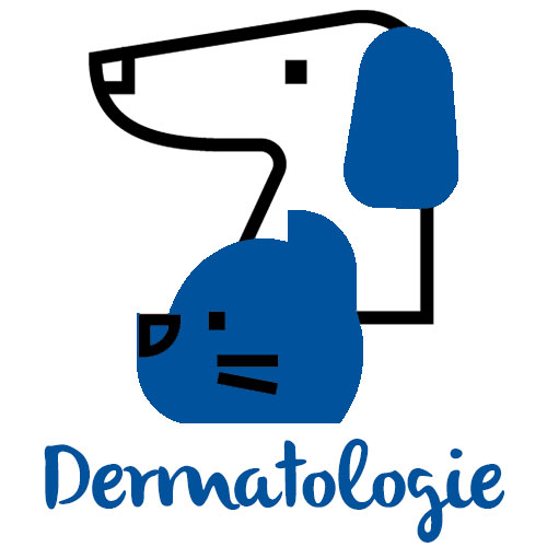 Dermatologie