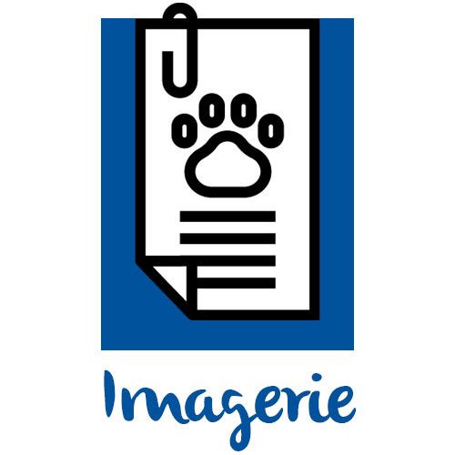 Imagerie