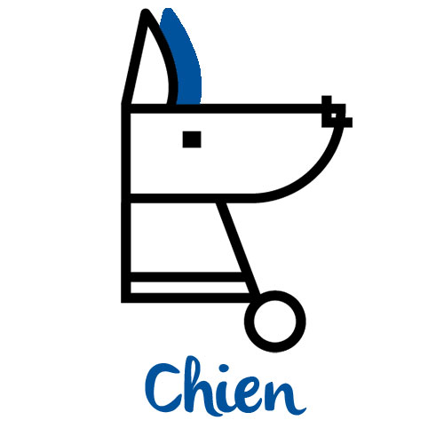 Chiens