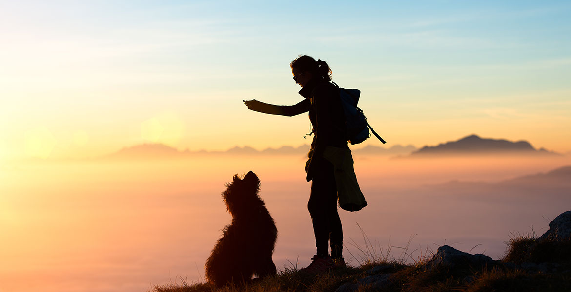 Savoir communiquer avec son chien