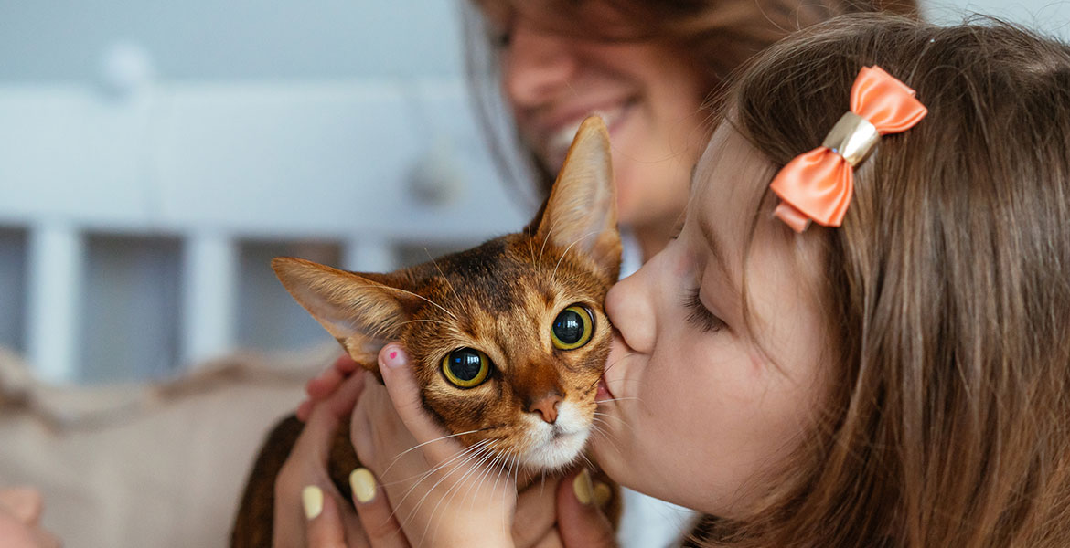 Le chat et le bébé