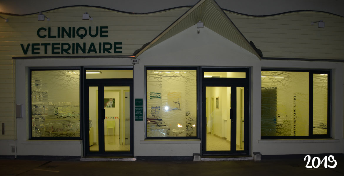 clinique-4.jpg