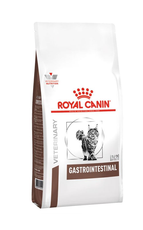 Chat gastrointestinal