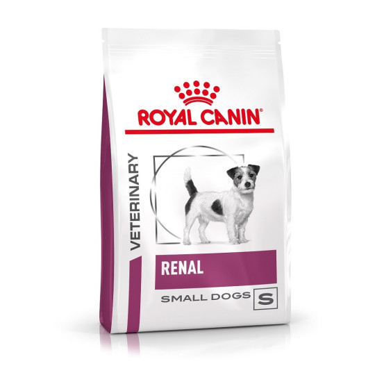 renal petit chien