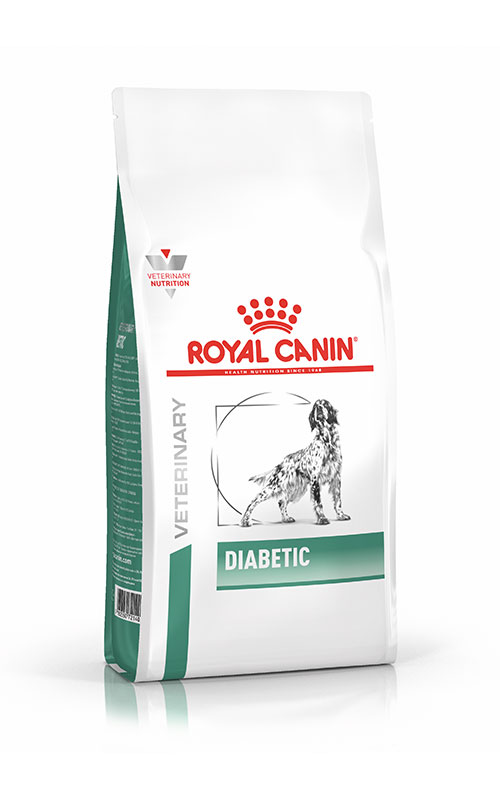 Diabète chien