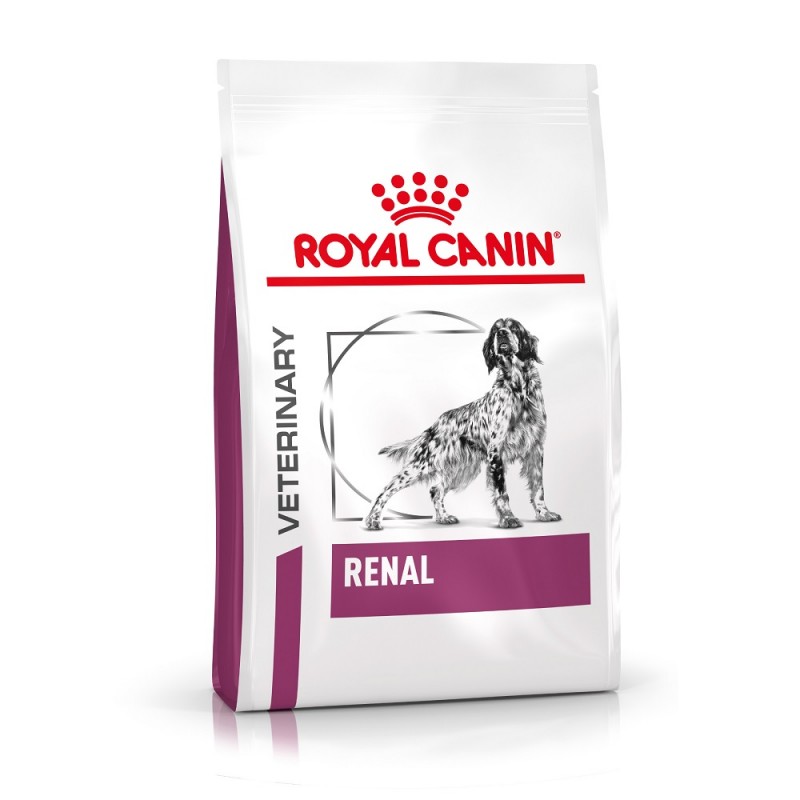 Renal chien